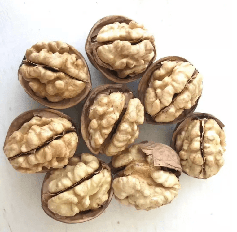 Hot sale in Amazon cheap price thin skin 185 walnuts from Chinese factories