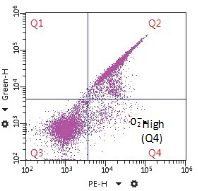 Sperm Reactive Oxygen Species DHE Staining Kit For ROS Flow Cytometry