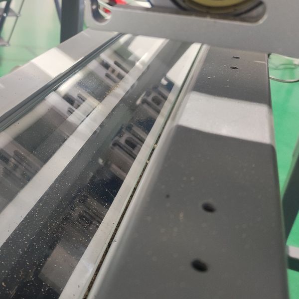 Customized Intelligent AI Common Bean Sorting Solution Meets Personalized Needs