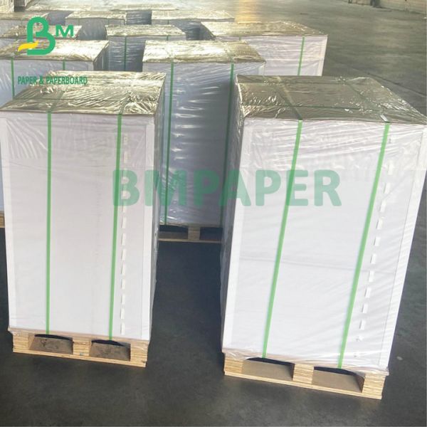 12" x 18" 80# 100# White Text Paper Double Sided C2S Sheet Double Sided Text C2S Board Paper 12" X 18" 80# 100# High White