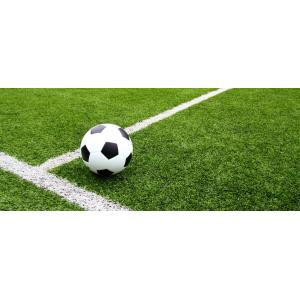 Best quality artificial grass soccer football artificial grass artificial grass