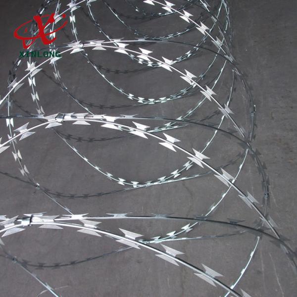 Cheap BTO CBT Razor Barbed Wire with Single / Double Coil For Airport for sale