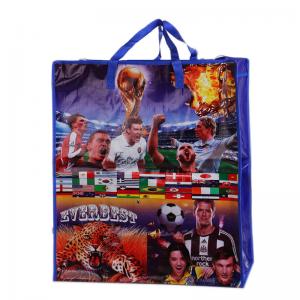 China Brazil design PP Woven Bag /pp Woven Shopping Bag With Zipper/yiwu cheaper pp woven shopping bag on sale
