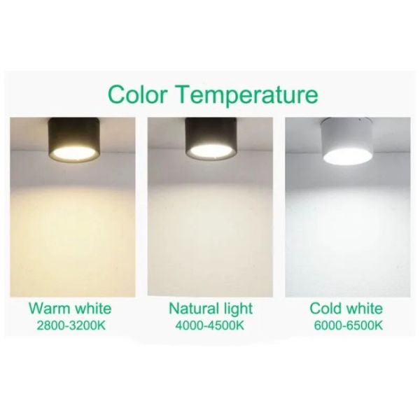 Surface Mounted LED Ceiling Downlights 12W Ceiling Mounted Downlight