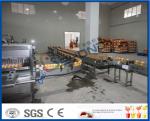 Small Scale Milk Processing Equipment For Tunnel Continuous Pasteurization