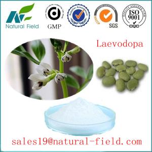 Quality GMP factory mucuna pruriens extract levodopa(l-dopa) l-dopa powder CAS:59-92-7 wholesale