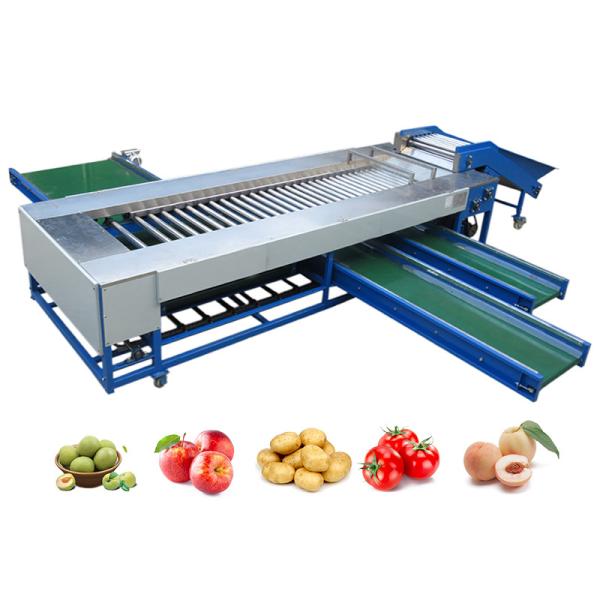 SUS304 Roller Sorting Machine Used For Sorting And Grading Round Fruits And