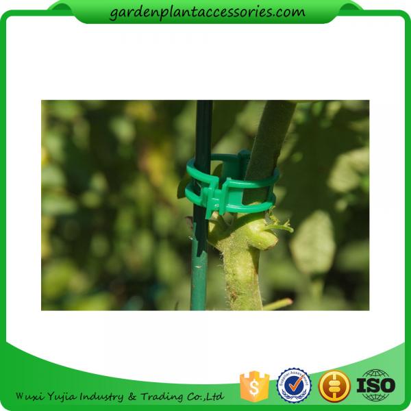 Cheap Colorful Garden Plant Accessories Plastic Garden Plant Clips / Plant Support Clips 45*40*50 Colorful for sale