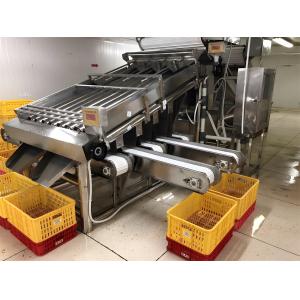 3P Multiscene Shrimp Grading Machine Automatic Multi Function