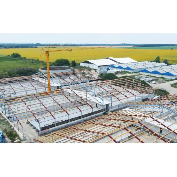 Prefabricated Barns for Cattle Horses Goats and Sheep Fast Build Steel Structure