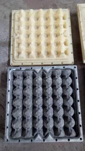 Quality Customizable Egg Carton Mold , Plastic Tray Mold EDM Service wholesale