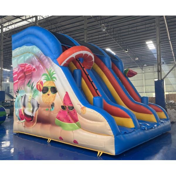 Quality 0.55mm PVC Commercial Inflatable Water Slides Renting Inflatable Slides wholesale