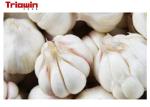 Garlic Paste Processing Line Fruit And Vegetable Processing Line Garlic