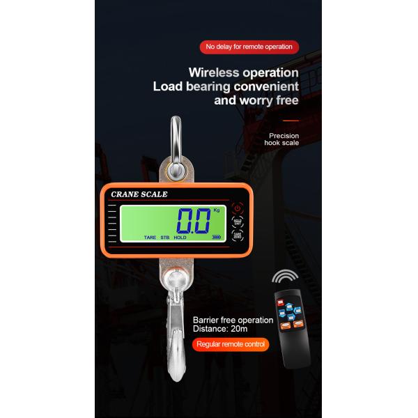 Blue Aluminum Alloy Stainless Steel Precision Hanging Crane Weighing Scale 100kg 300kg 500kg 1000kg 1t With OIML Approval