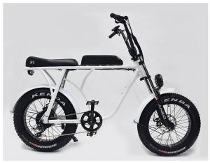 China 36v 20 Inch Fat Tire Ebike 350w Electric Bicycle 20 Inch Wheel 10ah Bafang 8fun Brushless on sale