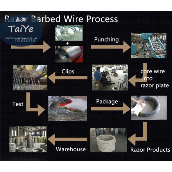PVC Coated Razor Barbed Wire CBT 60 Epoxy Single Coil Without Clips
