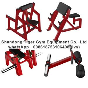 China Gym Fitness Equipment Fore Arm Curl / Seated Arm Curl / Arm curl machine exercise machine on sale