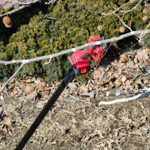 China 15FT Electric Extendable Tree Pruner ODM for Pruning Larger Bushes Easy to Assemble and Use on sale