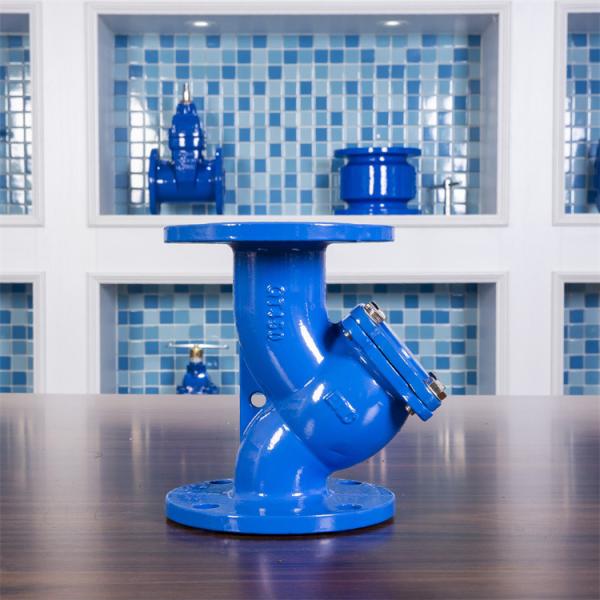 Ductile Iron Y Type Strainer Double Flange For Water