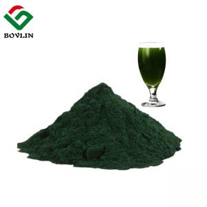 Quality Antioxidant Natural Sodium Magnesium Chlorophyllin From Leaf wholesale