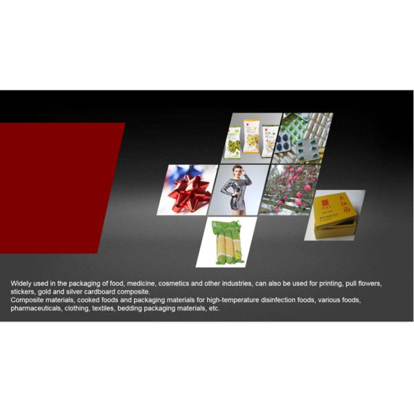 15000 Energy Saving High Vacuum Metallizerfor Pet Cpp Opp Bopp Bopet Pvc Case