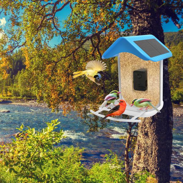 Bird Feeder House AI Recognize Bird Species Smart Outdoor Garden Wildlife Bird Feeder Camera