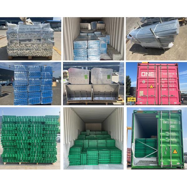 Farrowing Crate Steel Structure for Modern Farm Pig House Shed Hog Cote Winery Pigsty