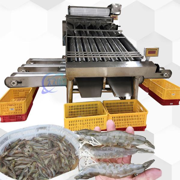 Cheap 3P Multiscene Shrimp Grading Machine Automatic Multi Function for sale