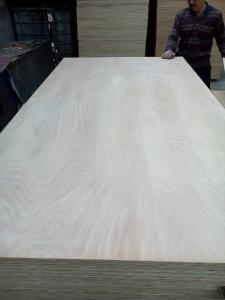 Quality Commercial Plywood/Ordinary Plywood/Fancy Plywood/Veneered Plywood/Decorative Plywood wholesale