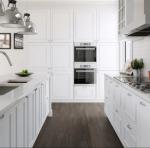 Paint Door Finish Solid Wood Kitchen Cabinets Solid Wood Material Blum / Dtc