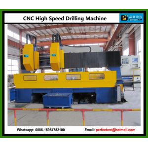 Quality High Speed CNC Tube Sheet Drilling Machine (Model PHD6060-2) wholesale