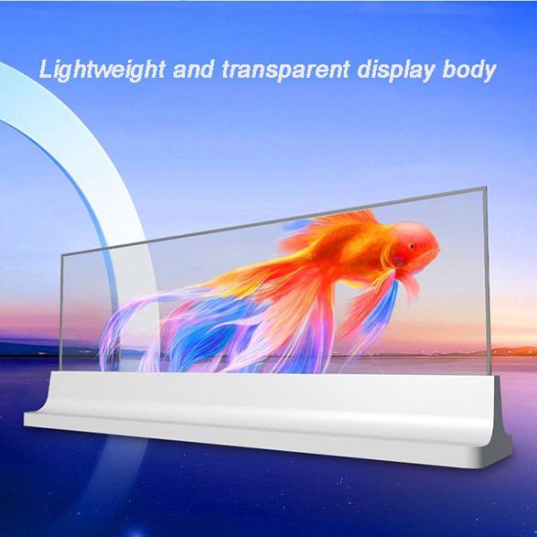 55 inch Educational Use PCAP Transparent OLED TouchScreen High Brightness Clear OLED Screen