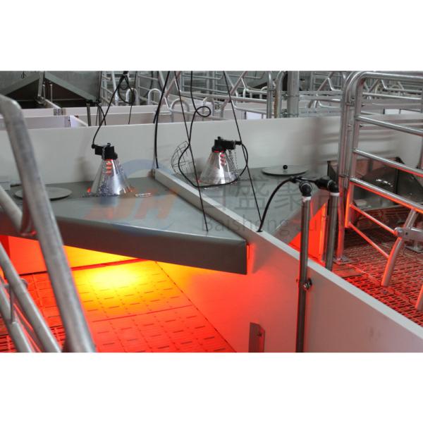 Farrowing Crate Steel Structure for Modern Farm Pig House Shed Hog Cote Winery Pigsty