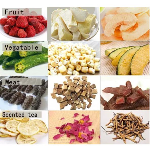 Energy Saving Mini Freeze Dryer Machine 834x700x1300mm High Performance