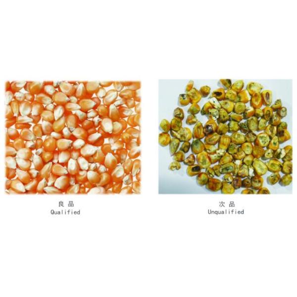 6 Ton/H Capacity Corn Color Sorter , CCD Rice Color Sorter With Low Carryover