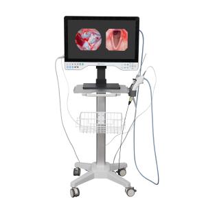 Quality FHD All In One Endoscope Camera System Built-in LED Light &amp; Flexible Scope For Laparoscopy wholesale