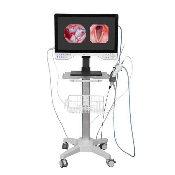 Cheap FHD All In One Endoscope Camera System Built-in LED Light & Flexible Scope For Laparoscopy for sale