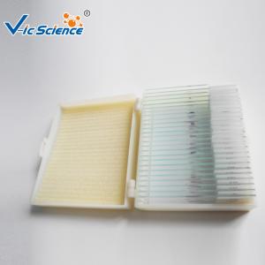 Quality Beginners Microscope Glass Slides 12 Pcs Prepared Microscope Slides Set wholesale