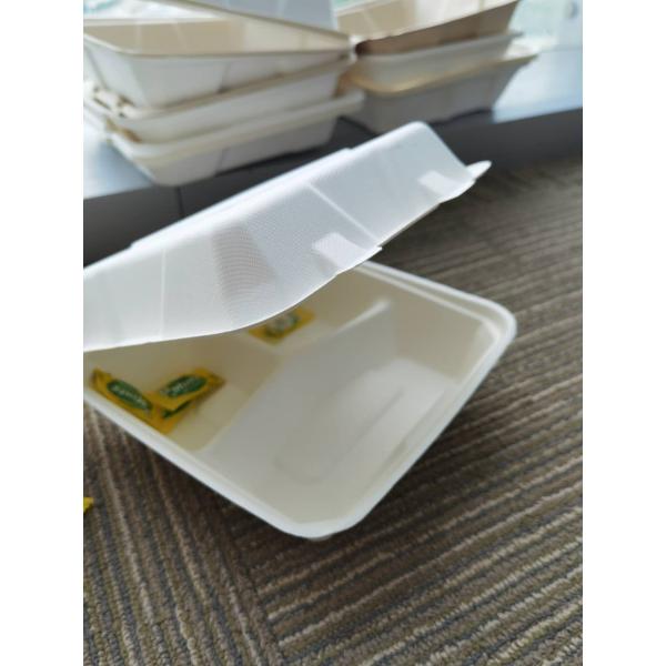 Biodegradable compostable bagasse 8inch compartment lunch paper boxes for fast food for restaurant and party use