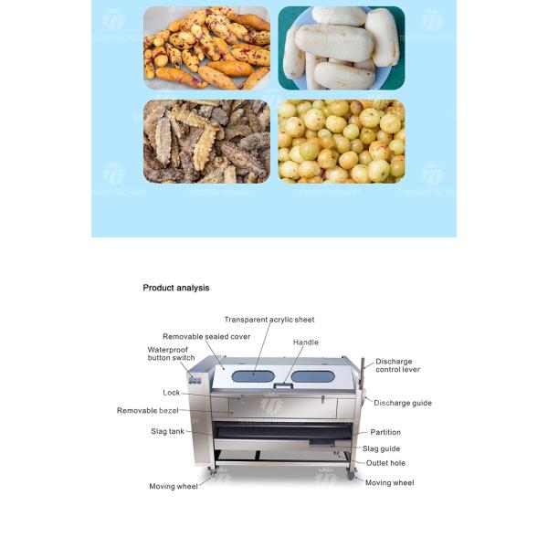 1500KG/H Agricultural products equipment, root and stem peeling cleaning machine, horseshoe cleaning and mud removal mac