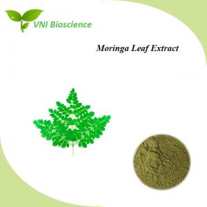 Quality OEM Vegetable Supplement Powder antitubercular Moringa Oleifera Leaf Extract wholesale