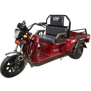 Quality 2.5m*1m Passenger Tricycles Motorized wholesale