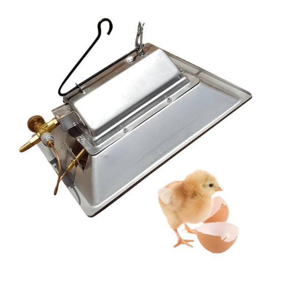 Cheap Manual Ignition LPG Poultry Brooder Heater Gas Brooder For Husbandry Equipment for sale