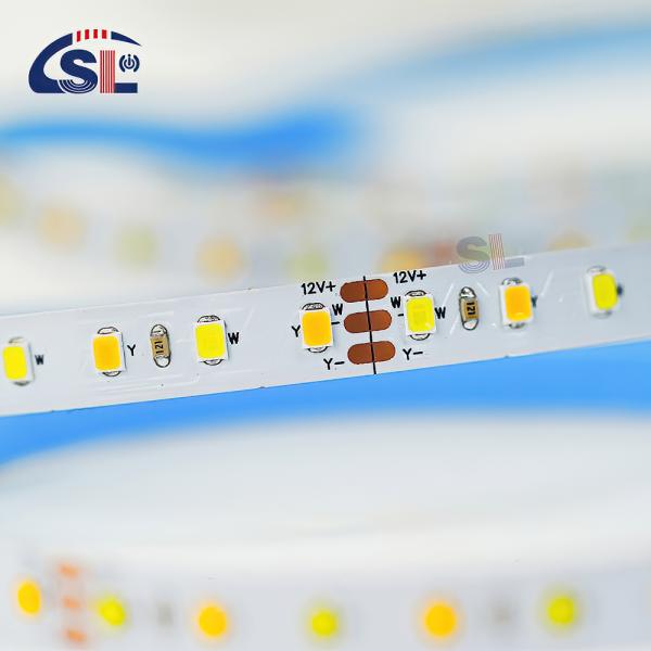 Customized CCT 12V24V 8mm 120leds 3000K-6500K Warm White-White SMD2835 Led Strip Light