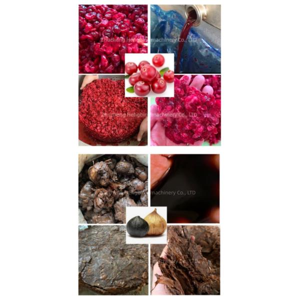 Hydraulic 304 Stainless Steel Cold Press Juicer For Dairy Products