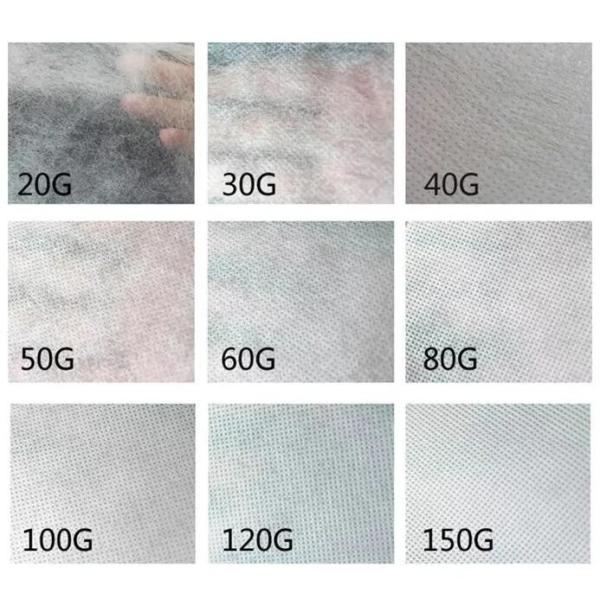 25gsm PP Spunbond Non Woven Fabric