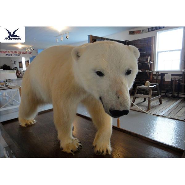 Realistic Animatronics Animals Models Lifelike Polar Bear Statues For Decoration