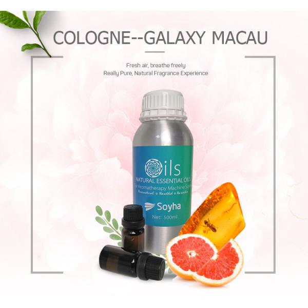 100 % Pure Nature Cologne Essential Oil For Hotel / Public Places