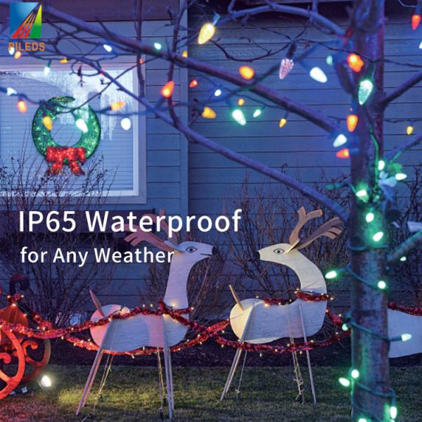 Christmas LED Pixel String Lights 50 Nodes Addressable RGB C9 DC12V WS2811