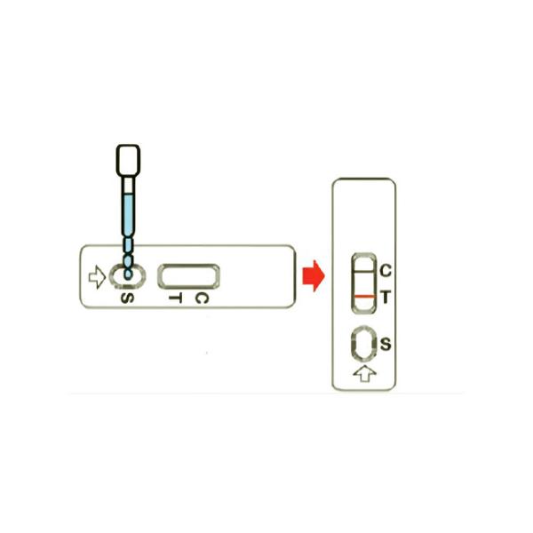 Porcine Reproductive And Respiratory Syndrome Virus PRRSV Antibody Test Kit For Swine
